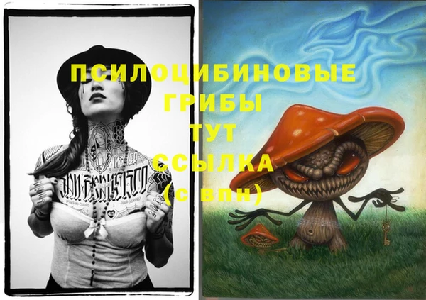мдпв Нефтекумск