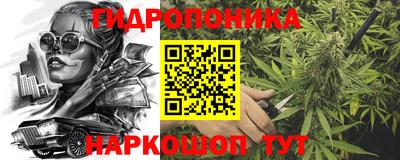 молекула духа Кандалакша