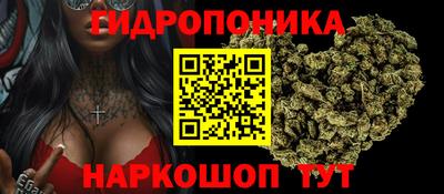 соль ск Канаш