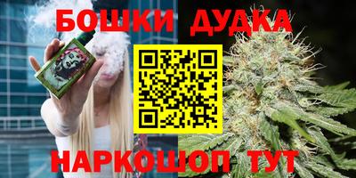 молекула духа Кандалакша