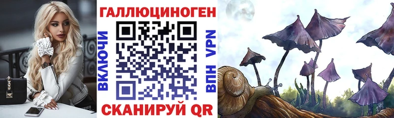 наркота Петрозаводск Псилоцибиновые грибы ЛСД