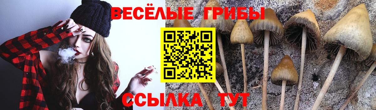 Петрозаводск  Псилоцибиновые грибы мухоморы  Вход с VPN 