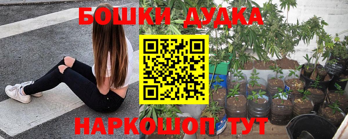 Бошки Шишки сатива Петрозаводск